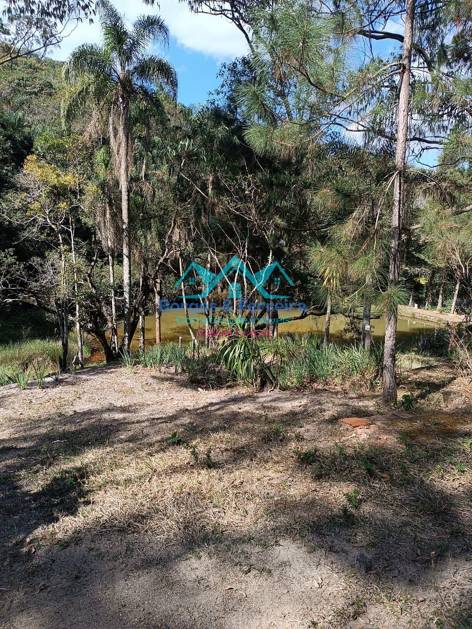 Chácara, 2 quartos, 3000 m² - Foto 19