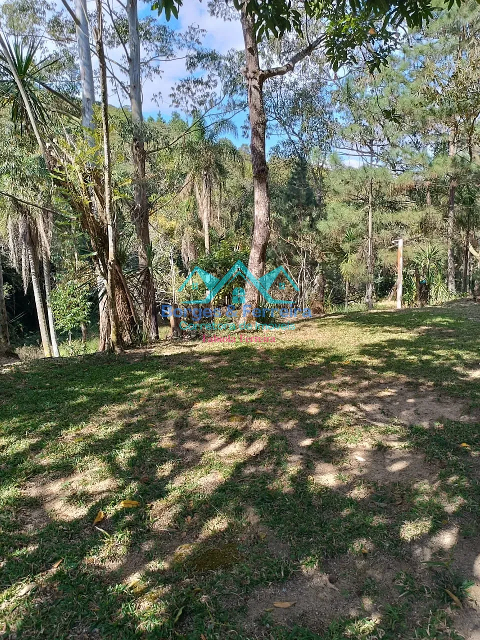 Chácara, 2 quartos, 3000 m² - Foto 11