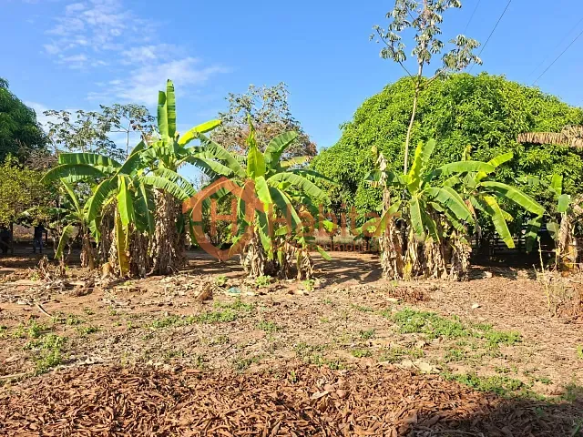 Chácara com 978m² 2 quartos e 1 banheiro, à venda, no bairro Área Rural de Sorriso em Sorriso