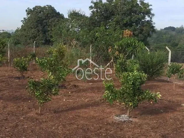 Chácara com 1200m² 2 quartos e 1 banheiro, à venda, no bairro Área Rural de Limeira em Limeira