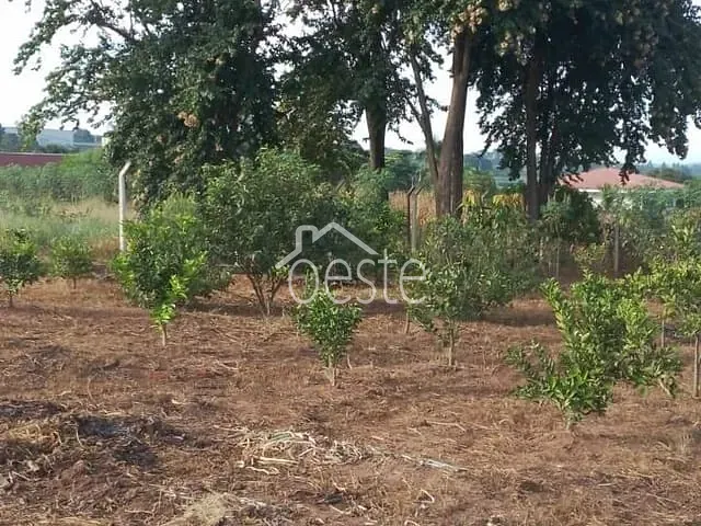 Chácara com 1200m² 2 quartos e 1 banheiro, à venda, no bairro Área Rural de Limeira em Limeira