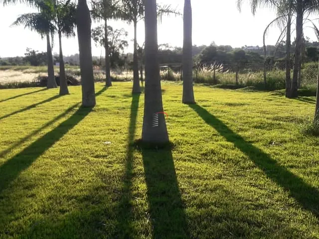 Chácara com 2030m², à venda, no bairro Gleba Fazenda Palhano em Londrina