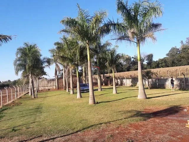 Chácara com 2030m², à venda, no bairro Gleba Fazenda Palhano em Londrina