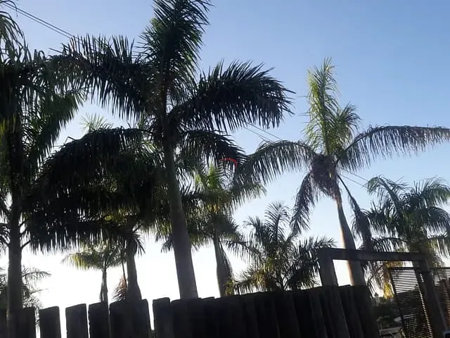 Chácara com 2030m², à venda, no bairro Gleba Fazenda Palhano em Londrina