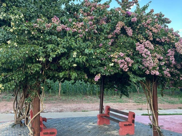 Chácara à venda,  Condomínio Residencial Terra Santa, Trindade, GO