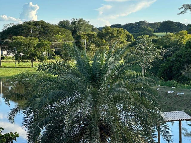 Chácara à venda,  Condomínio Residencial Terra Santa, Trindade, GO