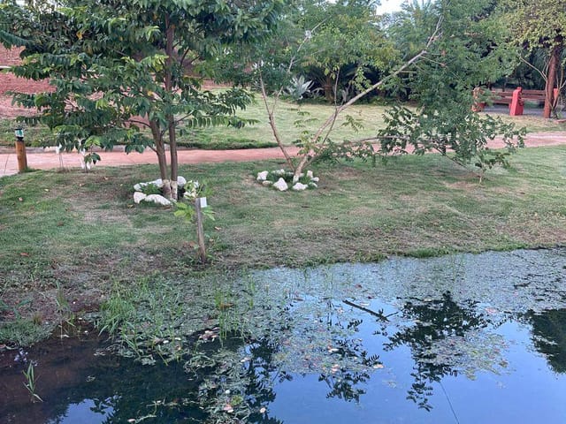 Chácara à venda,  Condomínio Residencial Terra Santa, Trindade, GO