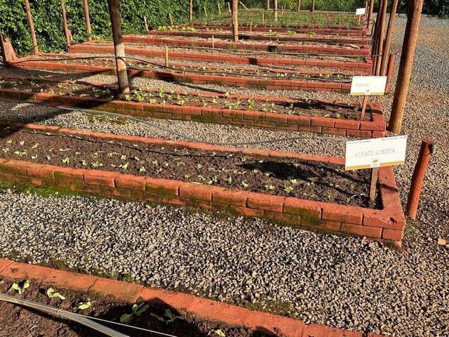 Chácara à venda,  Condomínio Residencial Terra Santa, Trindade, GO