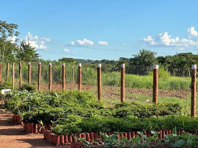 Chácara à venda,  Condomínio Residencial Terra Santa, Trindade, GO