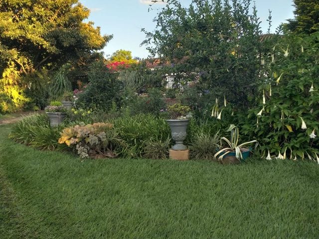 Foto do Chácara - Rural, Fazenda Gleba Palhano, Londrina - PR | CH27 | DRS IMOVEIS