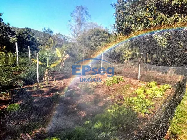 Chácara com 5000m², à venda, no bairro zona rural em Ibiporã