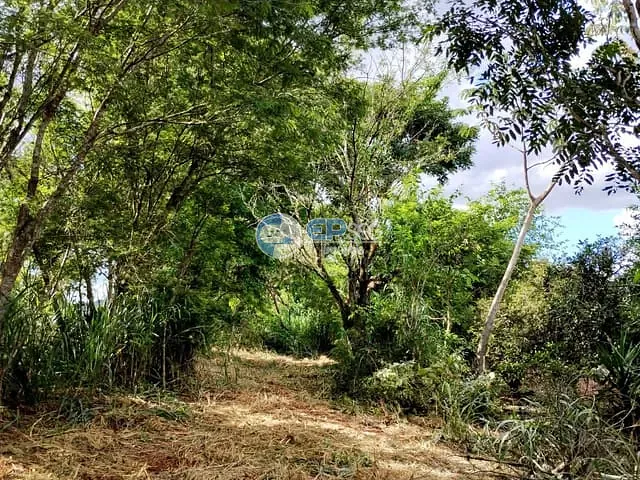 Chácara com 5000m², à venda, no bairro zona rural em Ibiporã