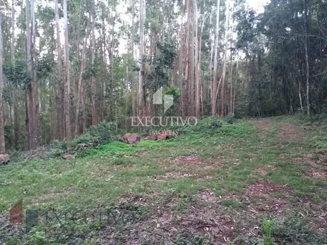 Terreno com 85897m², à venda, no bairro Linha Palmas (Distrito) em Arroio Do Meio