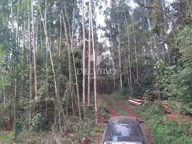 Terreno com 85897m², à venda, no bairro Linha Palmas (Distrito) em Arroio Do Meio