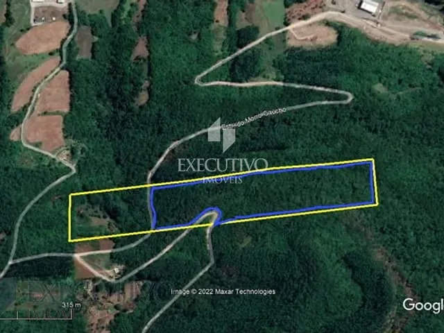 Terreno com 85897m², à venda, no bairro Linha Palmas (Distrito) em Arroio Do Meio