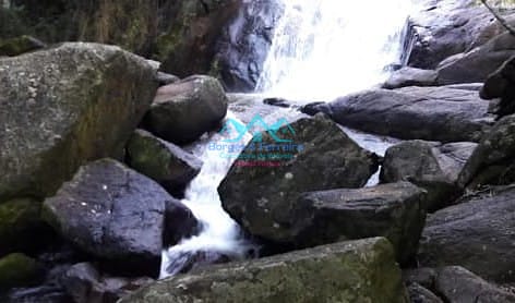 Chácara, 2 quartos, 1500 m² - Foto 55