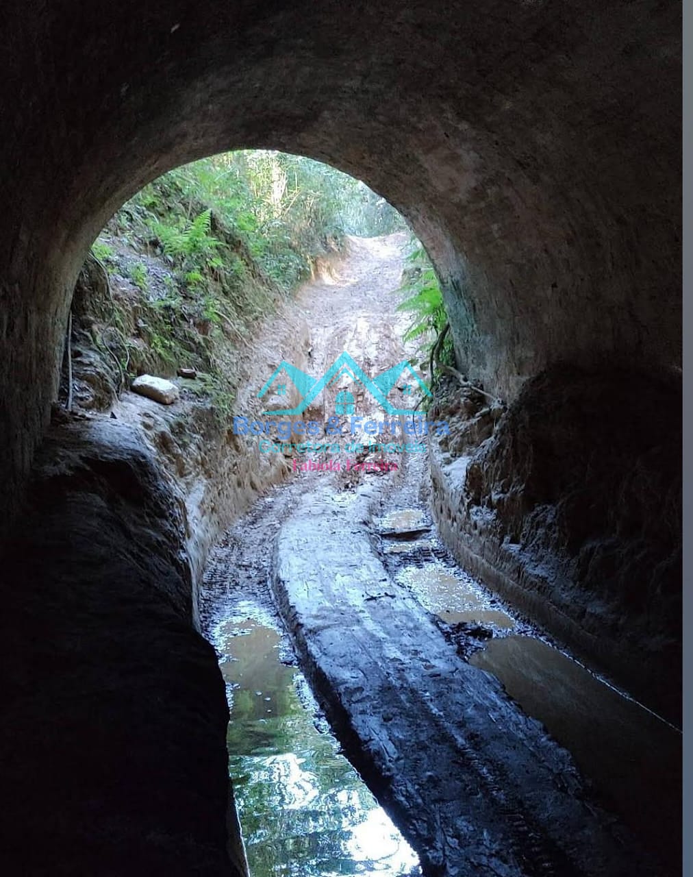 Chácara, 2 quartos, 1500 m² - Foto 57