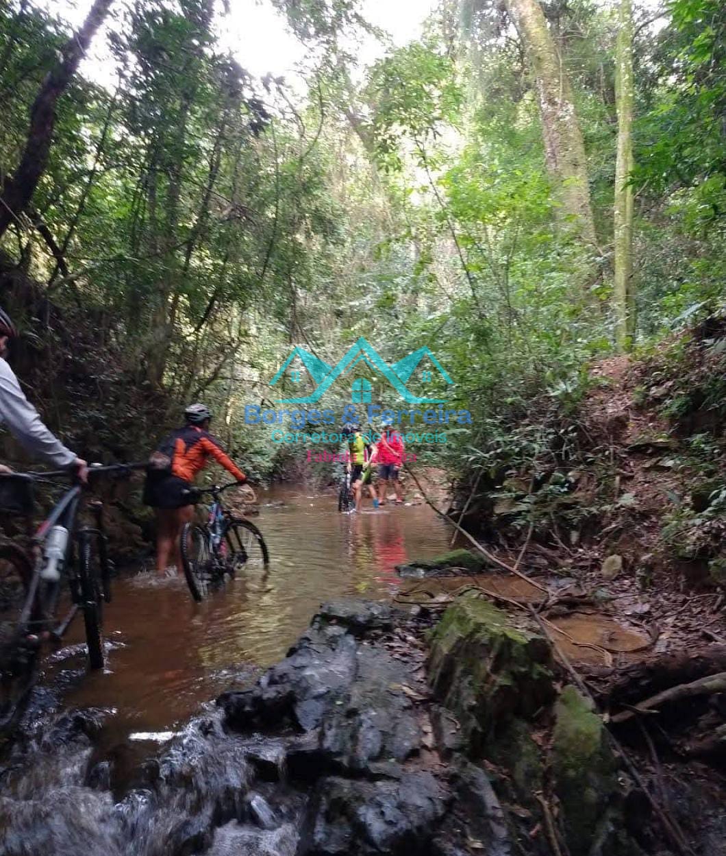 Chácara, 2 quartos, 1500 m² - Foto 50