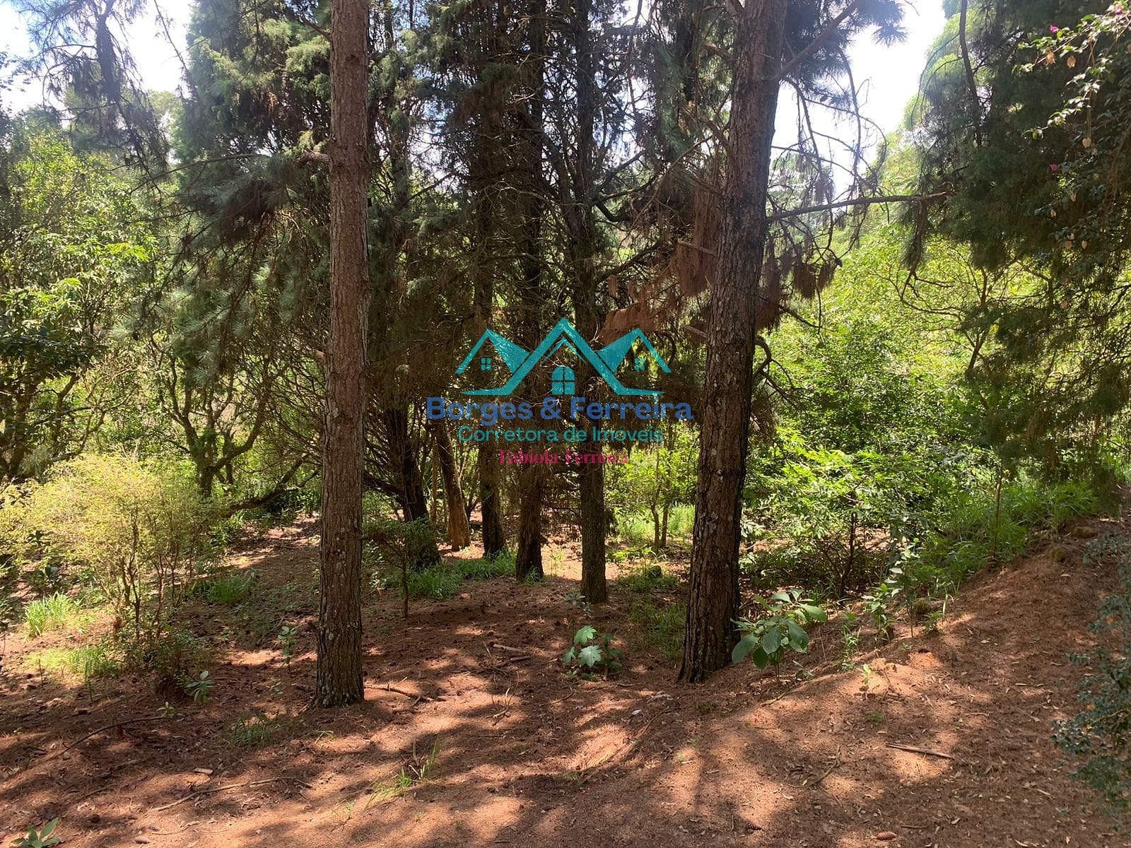 Chácara, 2 quartos, 1500 m² - Foto 33