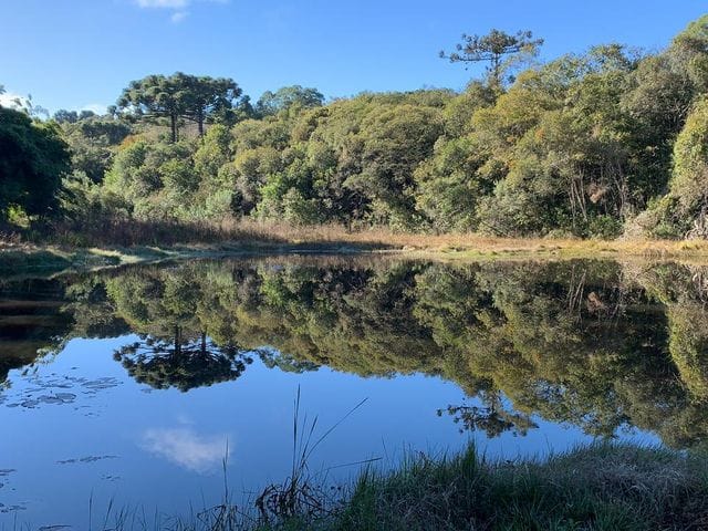 Foto do Chácara - Chácara à venda com 240 mil metros quadrados, Acesso por Asfalto, R$ 7.000,000,00 Bugre, Balsa Nova, PR | Imobiliária GreenVille