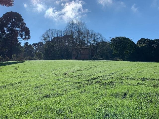 Foto do Chácara - Chácara à venda com 240 mil metros quadrados, Acesso por Asfalto, R$ 7.000,000,00 Bugre, Balsa Nova, PR | Imobiliária GreenVille