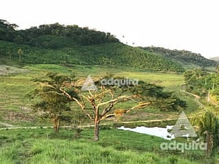 Foto do Fazenda-Chácara à venda 444000M², Zona Rural, Iguape - SP