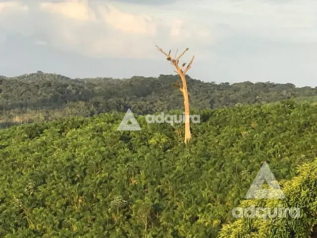 Fazenda com 444000m² 4 quartos e 3 banheiros, à venda, no bairro Zona Rural em Iguape