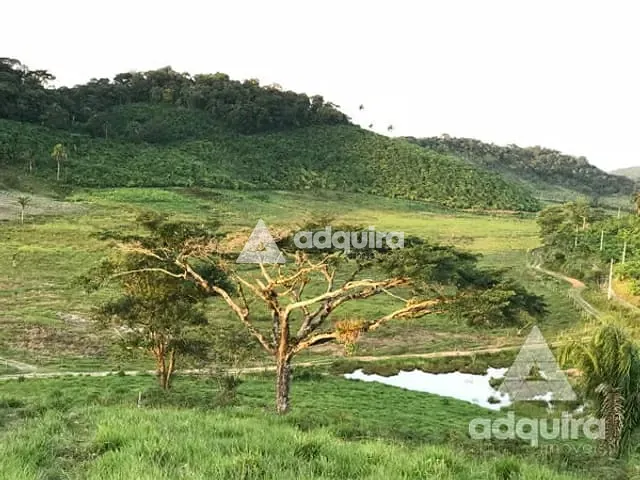 Fazenda com 444000m² 4 quartos e 3 banheiros, à venda, no bairro Zona Rural em Iguape