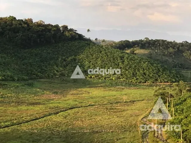 Fazenda com 444000m² 4 quartos e 3 banheiros, à venda, no bairro Zona Rural em Iguape