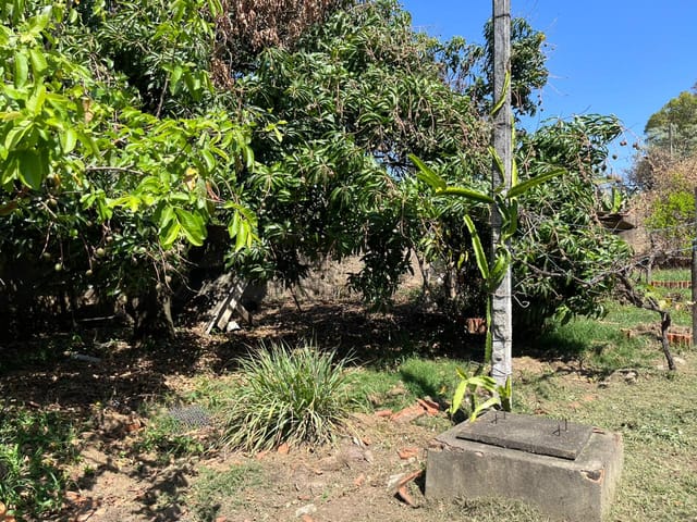 Chácara com 1630m², à venda, no bairro Jardim Nova Esperança em Campinas