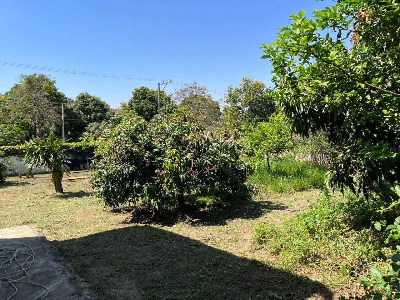 Terreno à venda, 1630m² - Foto 1