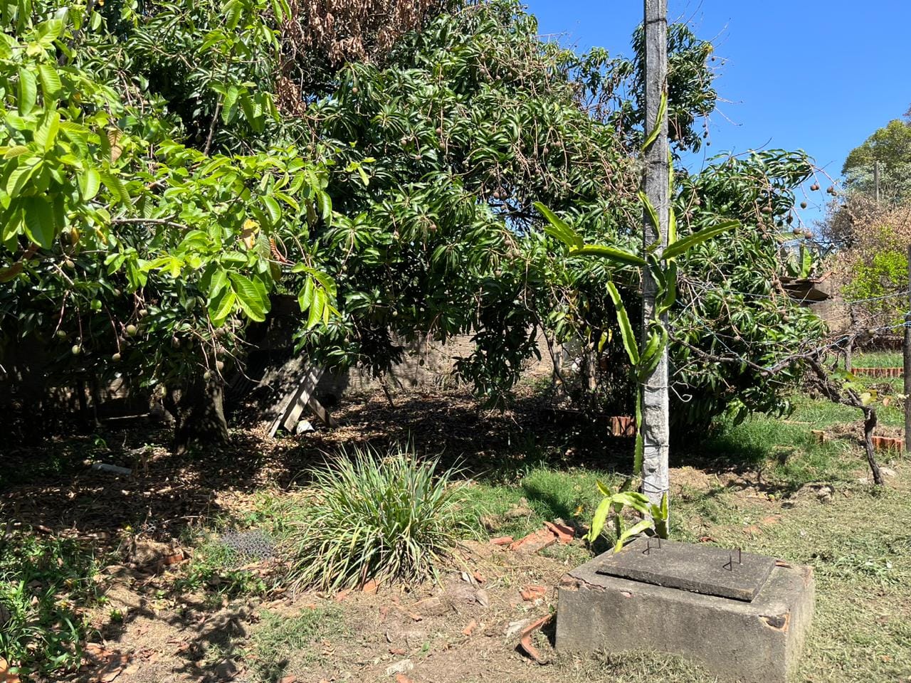 Terreno à venda, 1630m² - Foto 3