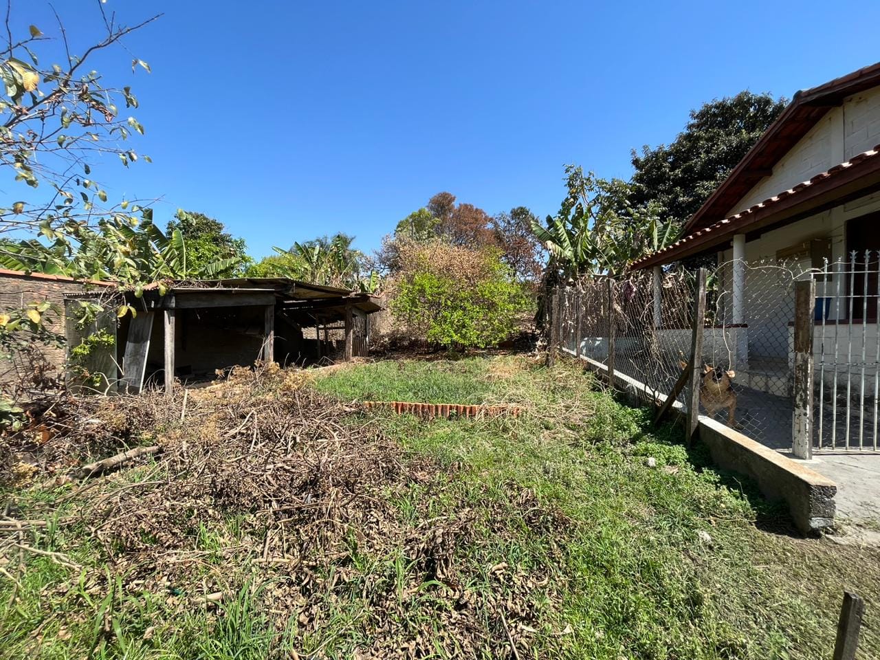 Terreno à venda, 1630m² - Foto 4
