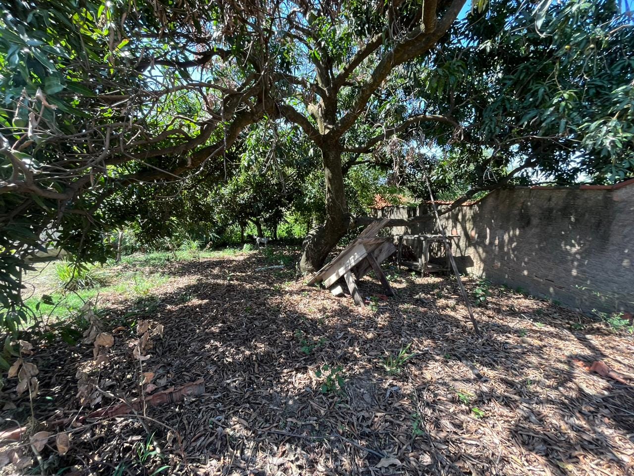 Terreno à venda, 1630m² - Foto 7