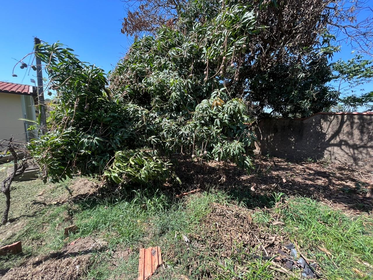 Terreno à venda, 1630m² - Foto 8