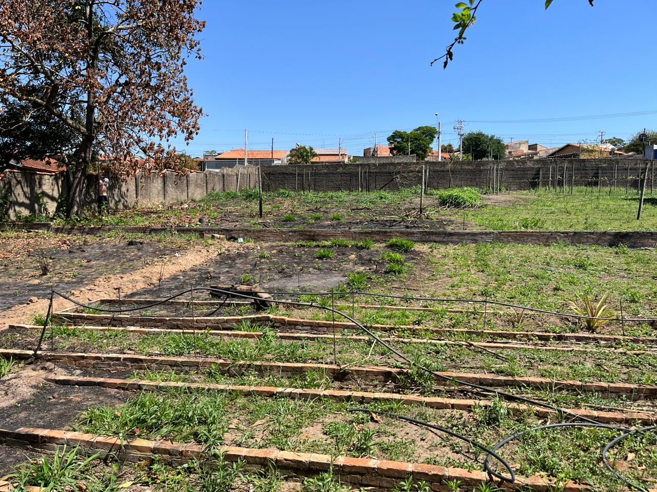Terreno à venda, 1630m² - Foto 16