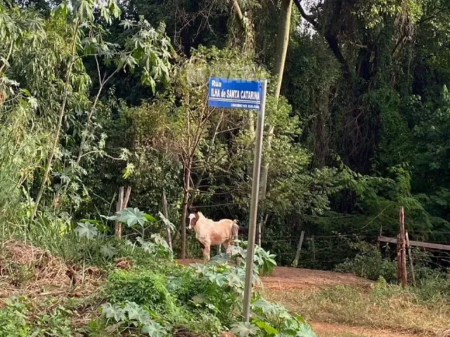 Chácara com 2424m², à venda, no bairro COND HORIZ. MARAJOARA em Ibiporã