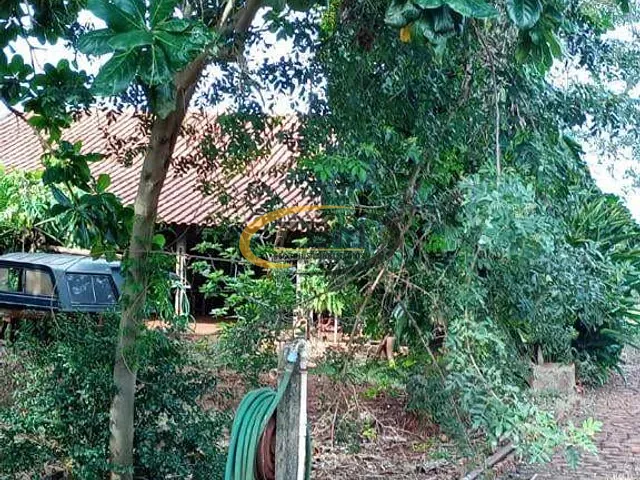 Chácara com 3182m² 2 quartos e 1 banheiro, à venda, no bairro RECANTO DOS MAGNATAS em Alvorada do Sul