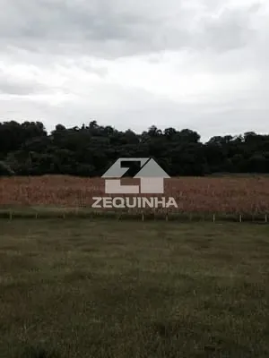 Sítio, 6 quartos, 29 hectares - Foto 20