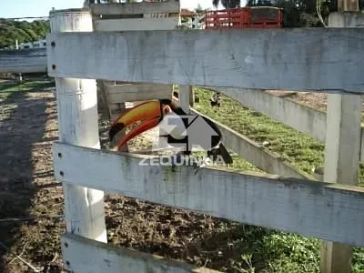 Sítio, 6 quartos, 29 hectares - Foto 19