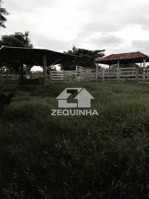 Sítio, 6 quartos, 29 hectares - Foto 18