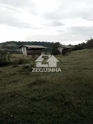 Sítio, 6 quartos, 29 hectares - Foto 16
