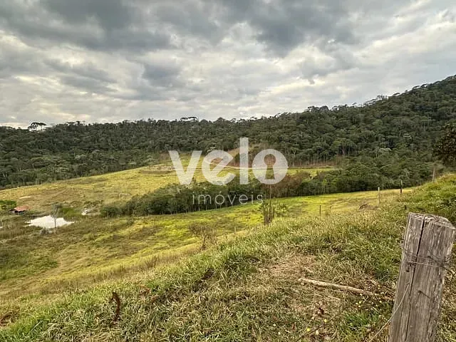 Chácara com 1096m², à venda, no bairro Bairro da Cachoeira  em Santo Antônio do Pinhal