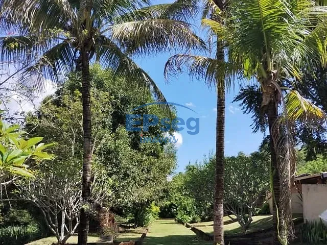 Chácara com 14000m² 5 quartos e 2 banheiros, à venda, no bairro Ibiporã em Ibiporã