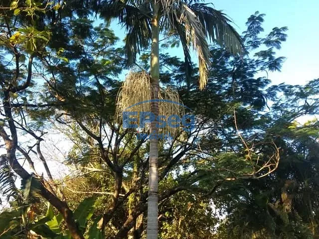 Chácara com 14000m² 5 quartos e 2 banheiros, à venda, no bairro Ibiporã em Ibiporã