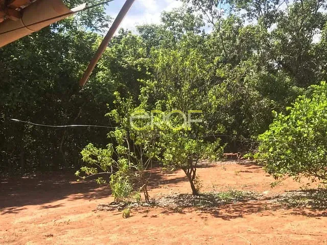 Chácara 2 quartos e 1 banheiro, à venda, no bairro Formosa em Formosa