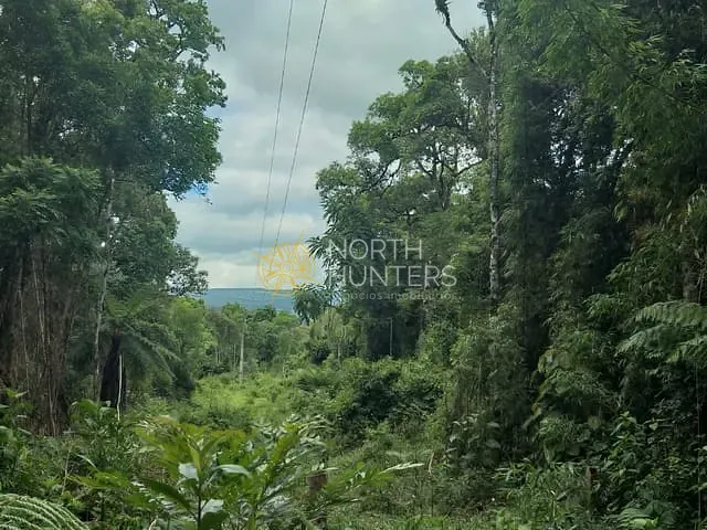 Chácara com 193600m² 1 quarto e 1 banheiro, à venda, no bairro Zona Rural em Campo Alegre