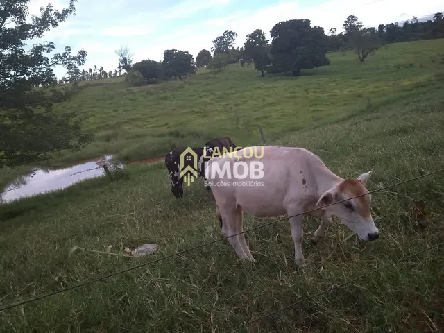 Chácara com 20000m² 4 quartos e 2 banheiros, à venda, no bairro Perola em Pérola