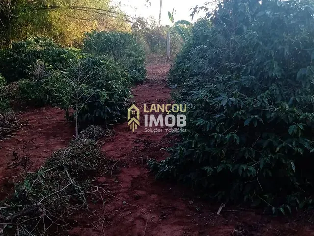 Chácara com 20000m² 4 quartos e 2 banheiros, à venda, no bairro Perola em Pérola