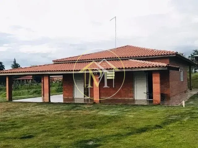Chácara, 3 quartos, 10000 m² - Foto 4